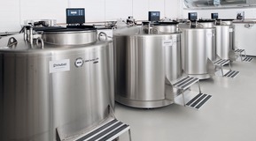 Cryogenic vapour freezers in biobank in Finland. Picture taken from left.